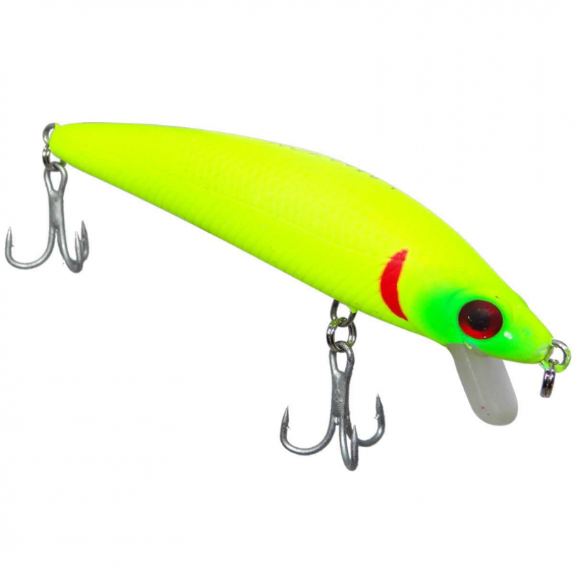 Isca Artificial lamazon Tambaqui 90