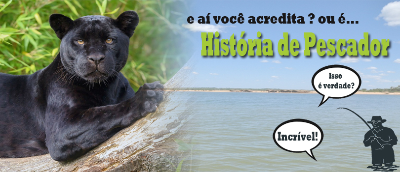 História de Danyel Angelico